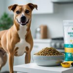 dog food for weight loss and lean body